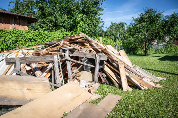 Trusted Carnesville, GA Junk Removal  Experts